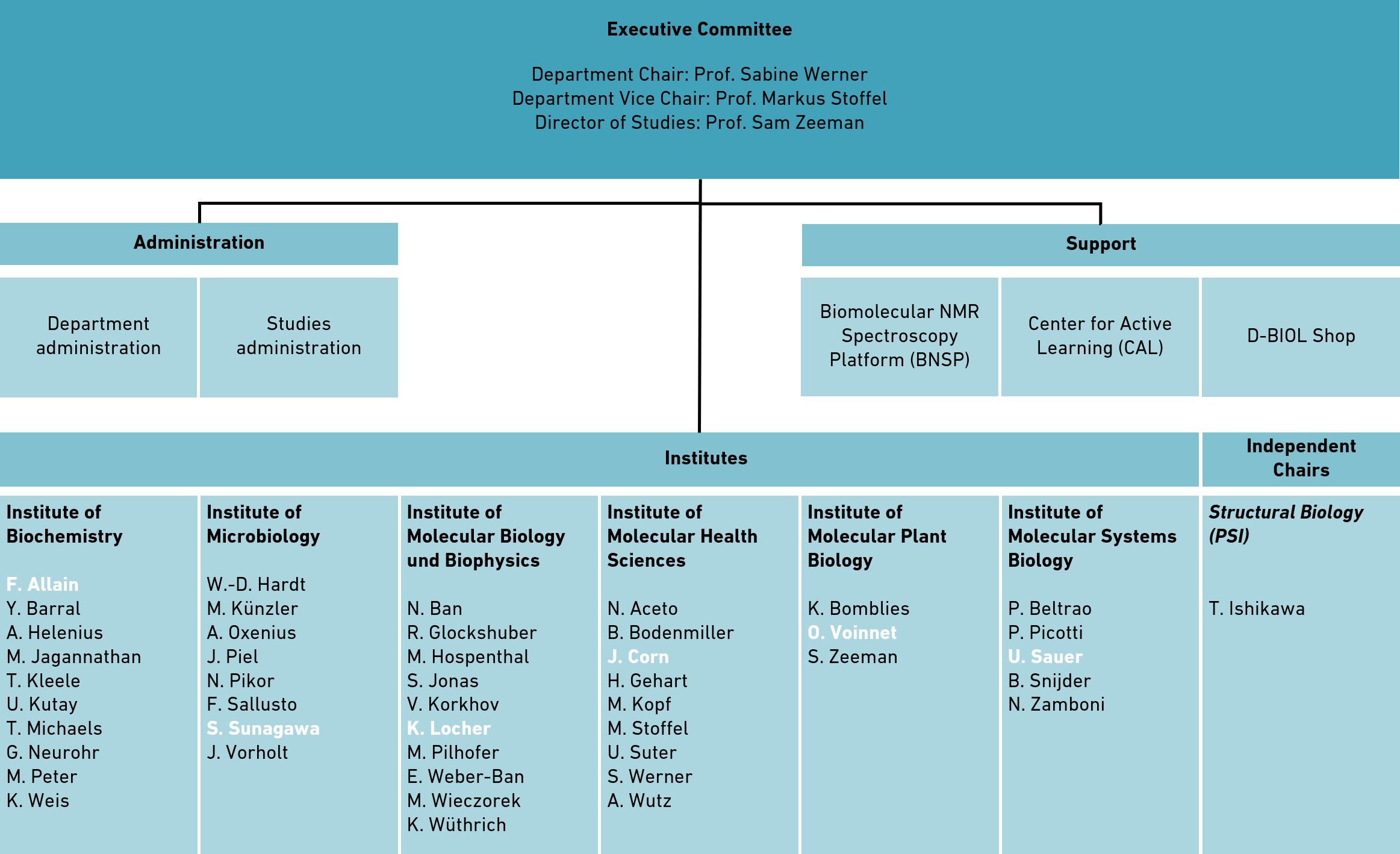 Enlarged view: Organisation chart D-BIOL